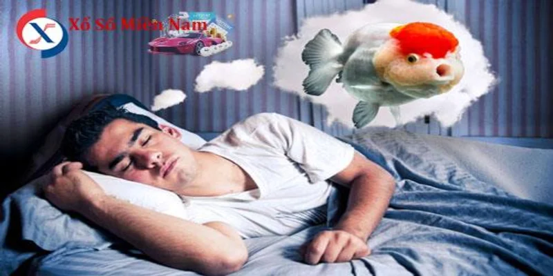 Mơ bắt cá bằng tay đánh con gì theo từng trường hợp