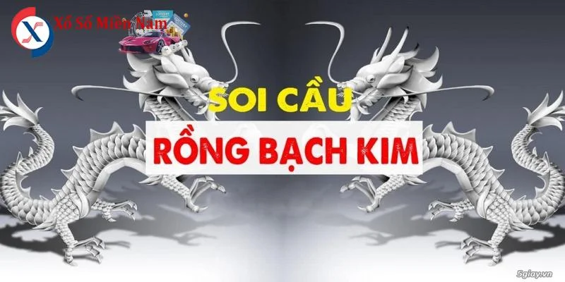Rồng Bạch Kim Chính Xác 100 Đánh Lô Không Lỗ